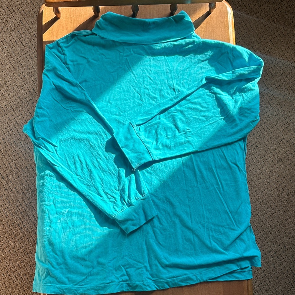 Woman Within Teal Turtleneck Sweater